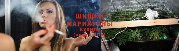 МДПВ Михайлов
