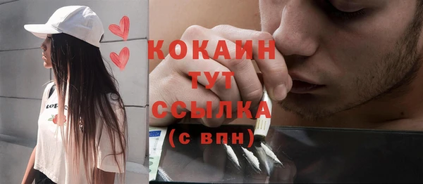 МДПВ Михайлов