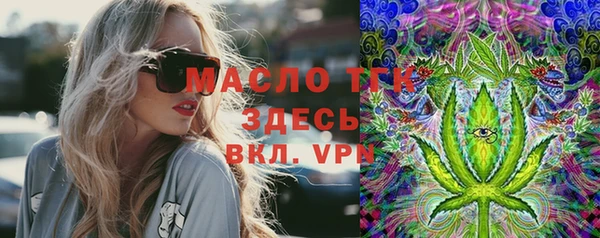 МДПВ Михайлов