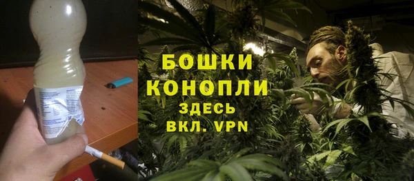 МДПВ Михайлов