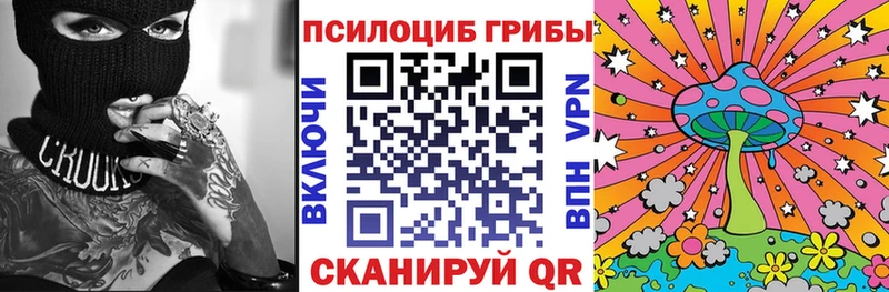 Купить закладки  Тихорецк  Псилоцибиновые грибы Psilocybine cubensis 